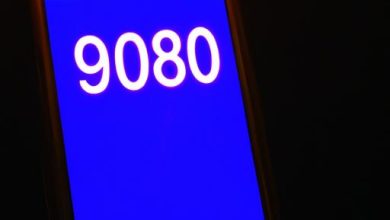 Who Is Phone Number 800